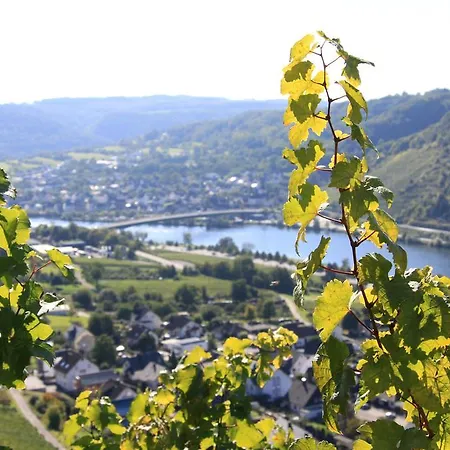 Appartement Im Moseltal