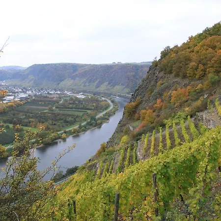 Im Moseltal *