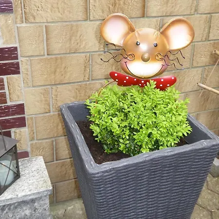 Im Moseltal Appartement