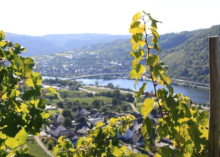 Appartement Im Moseltal