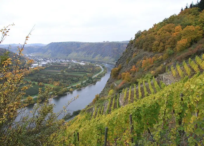 Im Moseltal *