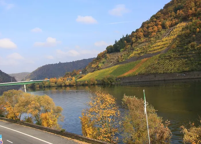 Appartement Im Moseltal