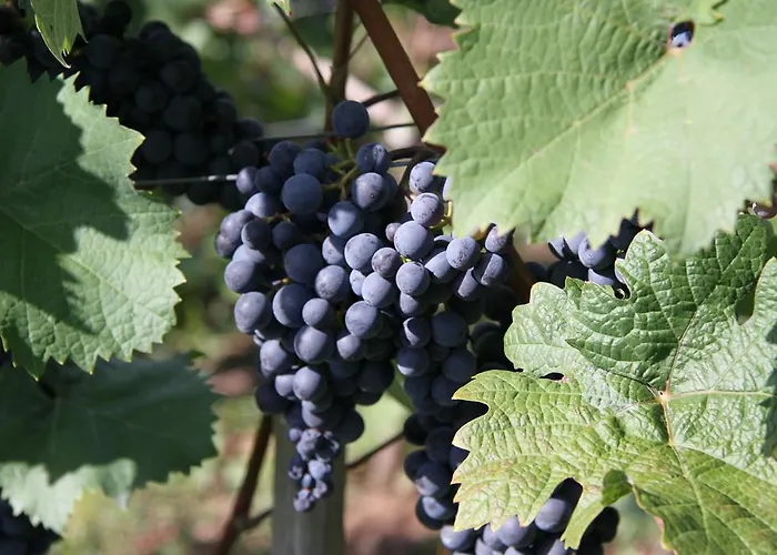 アパート Im Moseltal *