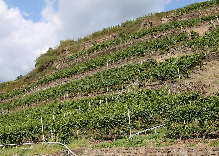 Im Moseltal アパート *