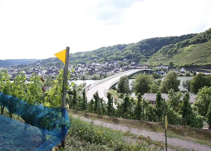 Im Moseltal アパート *